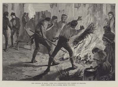 Il colera in Spagna, fuochi per disinfettare le strade di Granada da William Heysham Overend