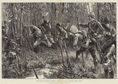 La spedizione di Looshai, i Gurkha aprono un passaggio attraverso la giungla di bambù da William Heysham Overend