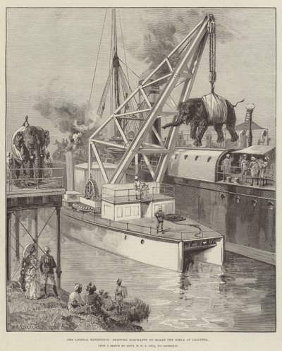 La spedizione Looshai, imbarco degli elefanti a bordo del Simla a Calcutta da William Heysham Overend