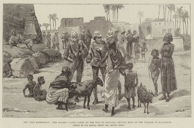 La spedizione del Nilo, il corpo dei cammelli delle guardie in viaggio verso Dongola, acquisto di latte al villaggio di Magrekah da William Heysham Overend