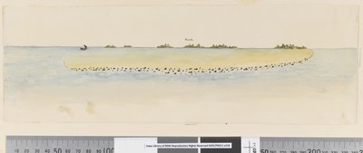 Pagina 25b Profilo di isola del Pacifico non identificata che mostra una laguna da William Hodges