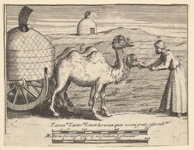 Due dromedari dai viaggi di Aubry de La Mottraye in Europa, Asia e in parte, 1723-24 da William Hogarth