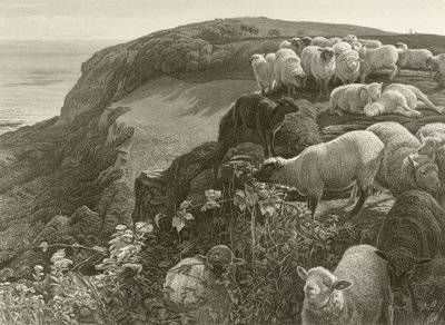 Sul pendio (incisione) da William Holman Hunt