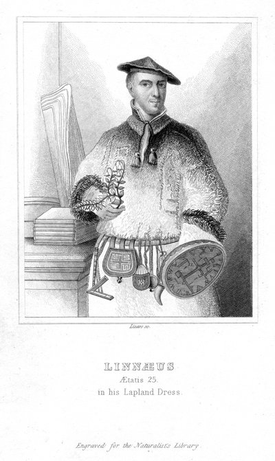 Carolus Linnaeus, Naturalista Svedese da William Home Lizars