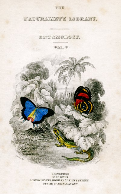 La biblioteca dei naturalisti, Entomologia, Vol V, Farfalle, c. 1833-1865 da William Home Lizars