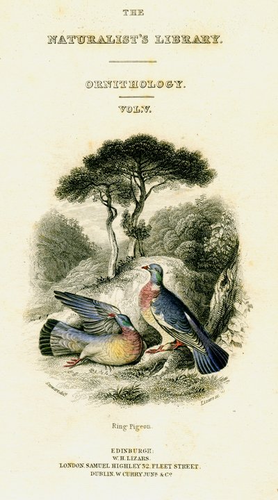 La Biblioteca dei Naturalisti, Ornitologia Vol V, Piccione ad Anello, c1833-1865 da William Home Lizars