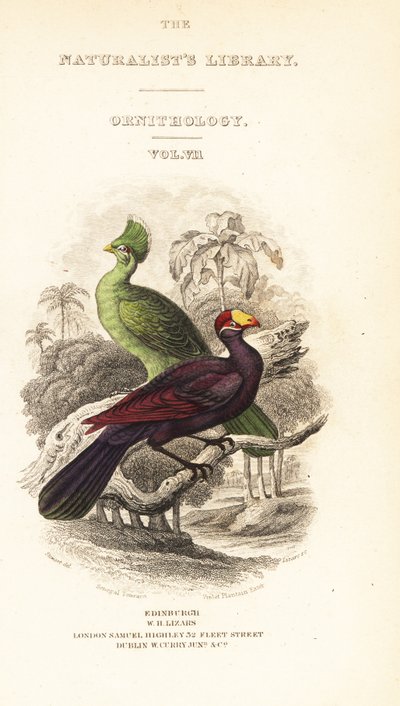 Frontespizio con vignetta del turaco di Guinea e turaco viola da William Home Lizars