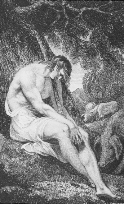 Il figliol prodigo, da 