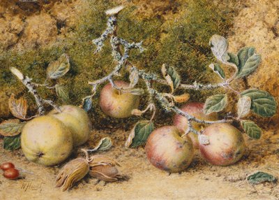 Natura Morta con Mele, Nocciole e Cinorrodi da William Hough