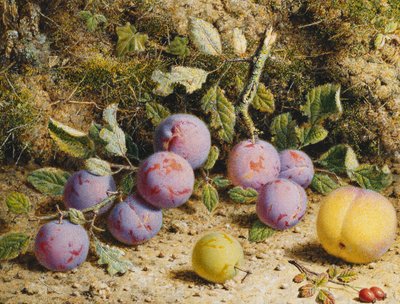 Natura morta con prugne, una pesca e cinorrodi da William Hough