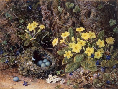 Natura Morta con Nido di Uccelli, Primule e Viole da William Hough