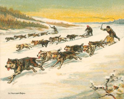 Corse storiche e moderne, corse di slitte trainate da cani canadesi (cromolitografia) da William Hounsom Byles