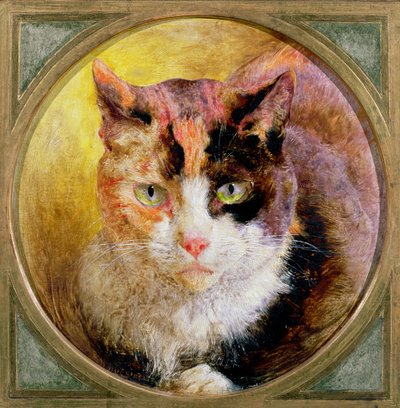 Studio della testa di un gatto tartarugato da William Huggins