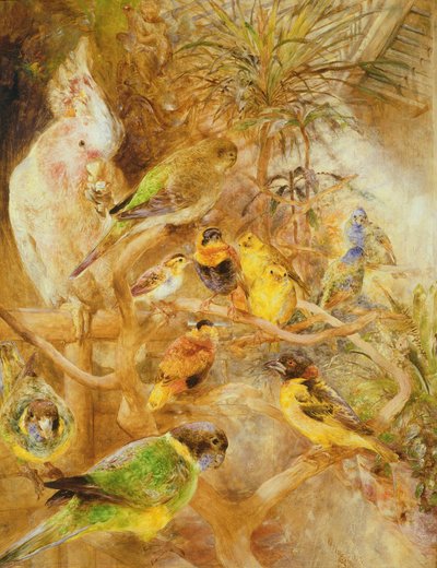 Voliera, 1871 da William Huggins