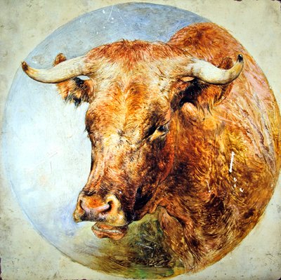Testa di una mucca Longhorn da William Huggins