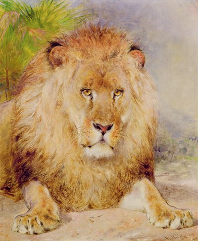 Leone da William Huggins