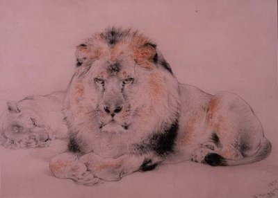 Leone e Leonessa da William Huggins