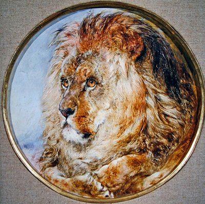 Ritratto di un leone da William Huggins