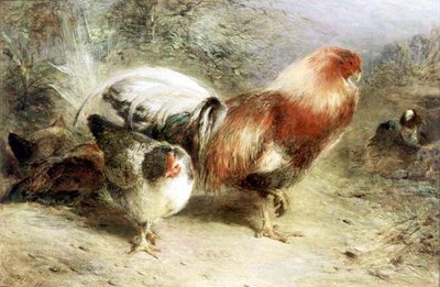 Pollame da William Huggins