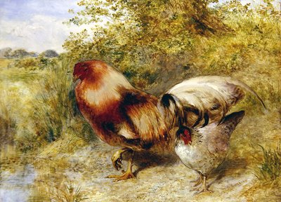 Pollame in un paesaggio da William Huggins