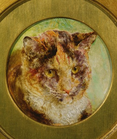 Studio di un gatto tartarugato da William Huggins