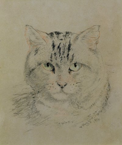 Gatto tigrato, 1874 da William Huggins