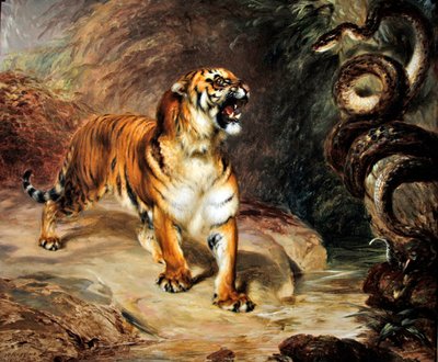 Tigre e pitone da William Huggins