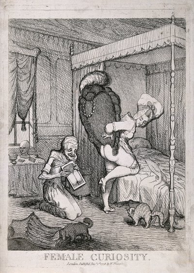 Curiosità femminile da William Humphrey
