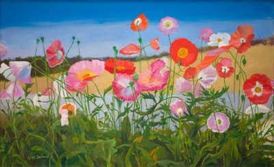 Papaveri da William Ireland