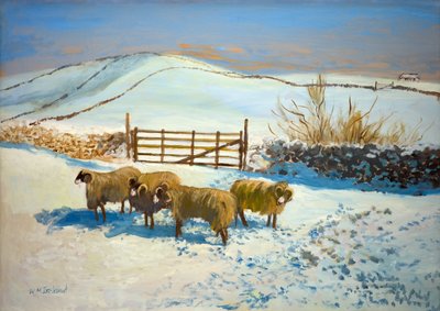 Neve nelle Yorkshire Dales da William Ireland