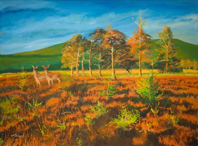 Vicino a Aviemore, Scozia da William Ireland