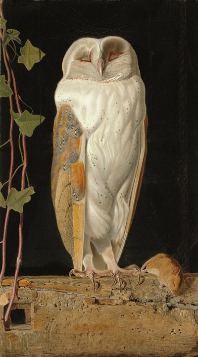 Il gufo bianco: "Solo e riscaldando i suoi cinque sensi, il gufo bianco nella campana siede", 1856 da William J. Webbe