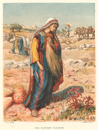 Il Gleaner orientale (incisione a colori) da William J. Webbe or Webb