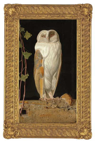 Il gufo bianco, 1856 da William J. Webbe or Webb