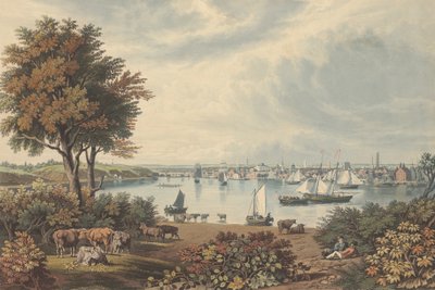 Baltimora presa vicino a Whetstone Point da William James Bennett