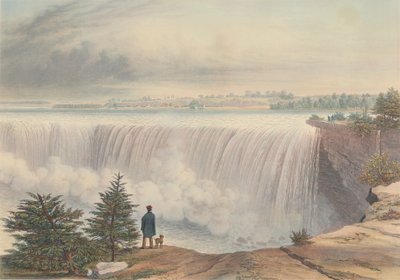 Cascate del Niagara da Table Rock da William James Bennett