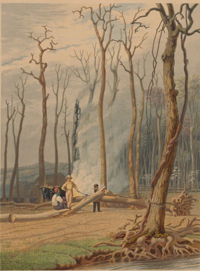Primavera - Bruciando alberi caduti in una radura disboscata. Scena occidentale da William James Bennett