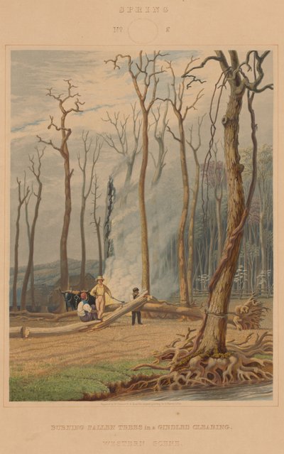 Primavera--Bruciando Alberi Caduti in una Radura Cintata. Scena Occidentale da William James Bennett after George Harvey