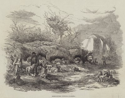 Quadri agricoli, agnelli da William James Linton