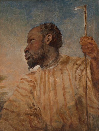 Un africano schiavo da William James Muller