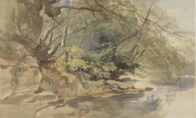 Veduta di Stapleton Wood, vicino a Bristol da William James Muller