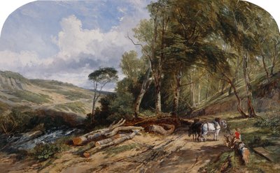 Trasporto di legname da William James Muller