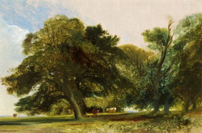 Kingsweston Park - Schizzo, c.1833 da William James Muller