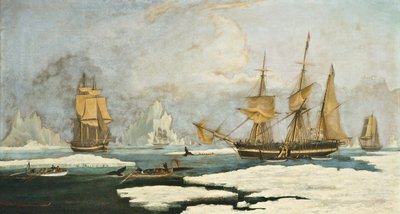 La pesca alla balena del nord: La nave Harmony di Hull e altri balenieri bloccati dal ghiaccio, caccia di foche, narvali e balene nel campo di pesca delle balene dello Stretto di Davis al largo della Groenlandia da William John Huggins