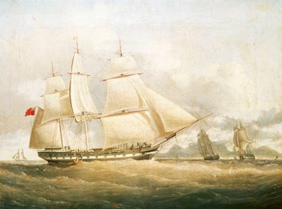 La nave 