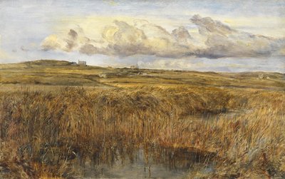 Rhoscolyn, Anglesey da William Joseph J.C. Bond