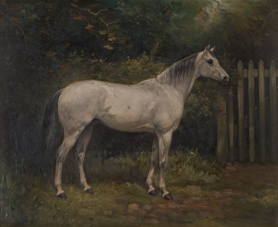 Pickles: un pony Basuto da William Josiah Redworth