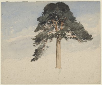 Pino scozzese da William Leighton Leitch