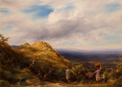 Una valle boscosa e collina da William Linnell