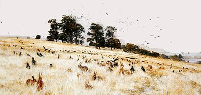 Un Rookery da William Lionel Wyllie